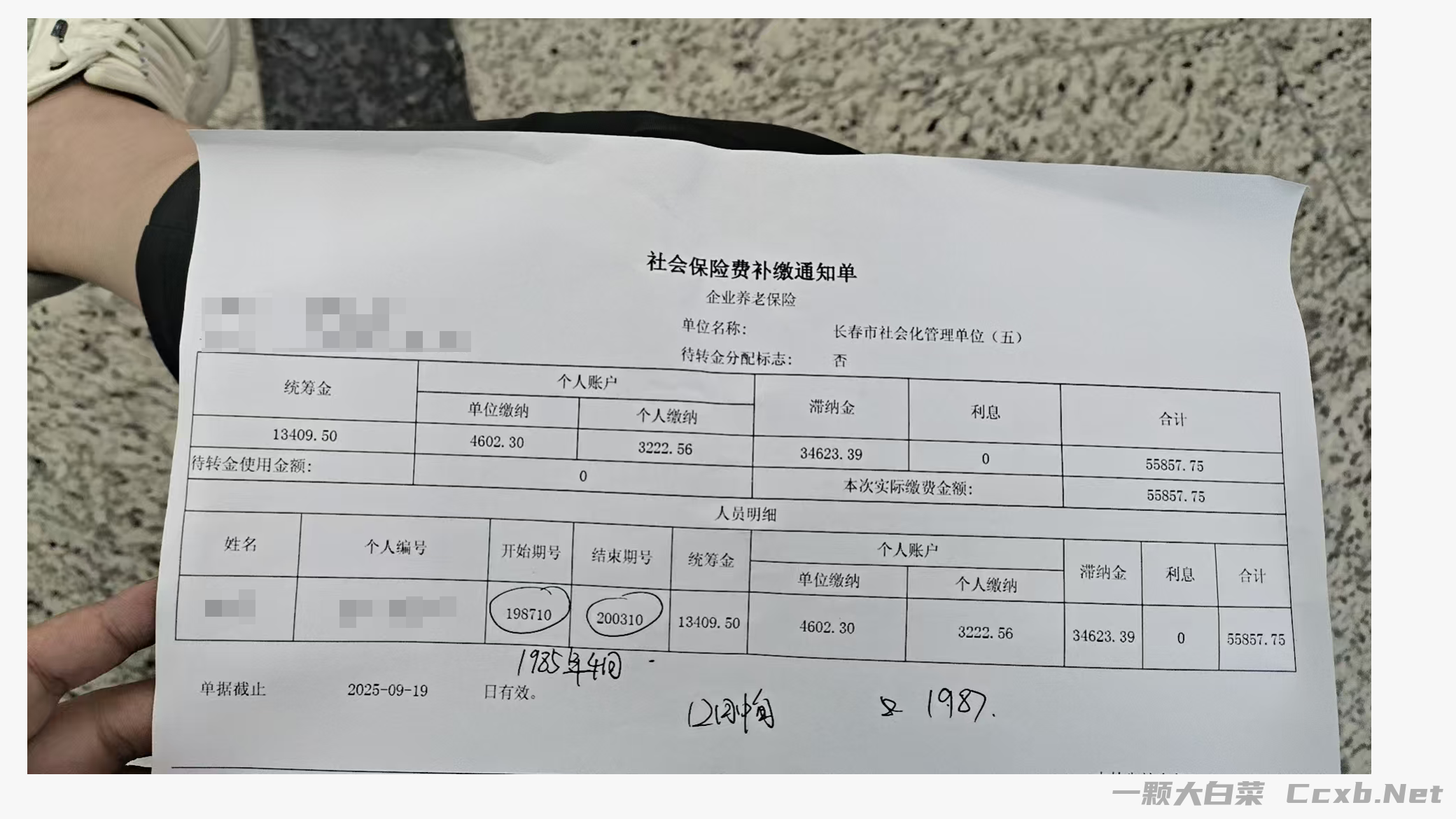 一张 《社会保险费补缴通知单》 