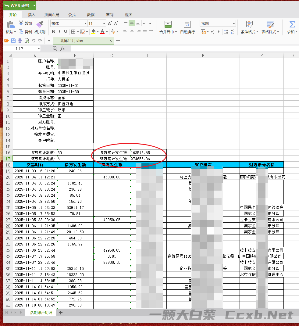 中国民生银行股份有限公司-账户明细清洗工具( (2025.12.16)